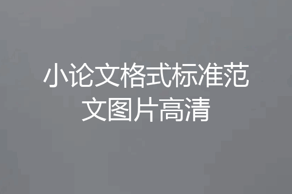 小论文格式标准范文图片高清
