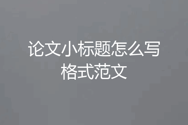 论文小标题怎么写格式范文