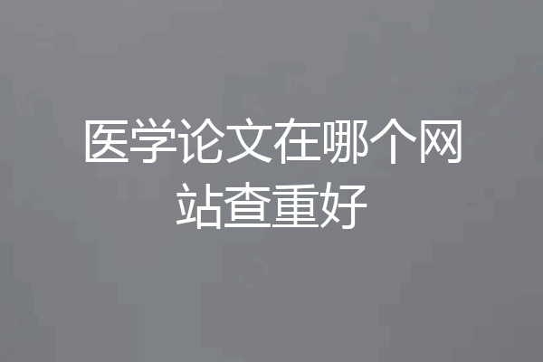 医学论文在哪个网站查重好