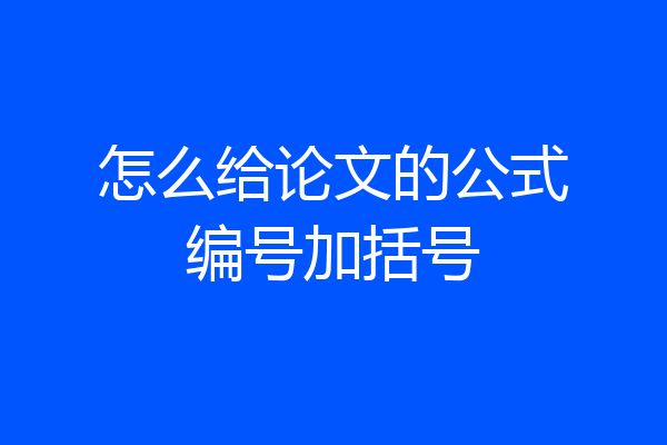 怎么给论文的公式编号加括号