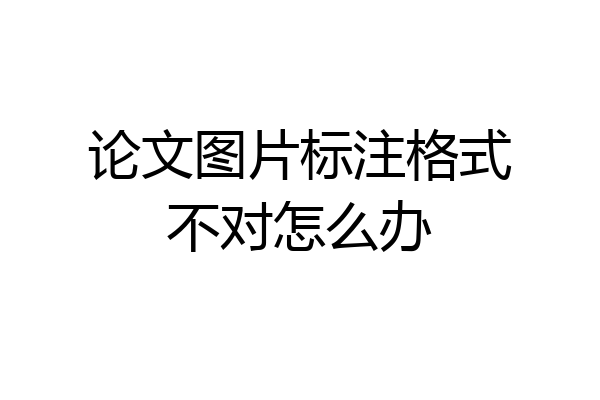 论文图片标注格式不对怎么办