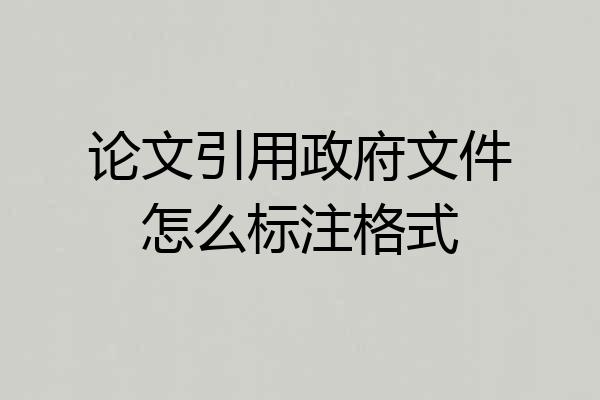 论文引用政府文件怎么标注格式