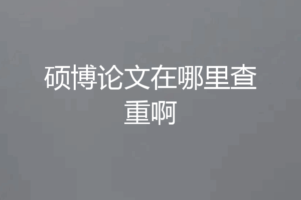 硕博论文在哪里查重啊