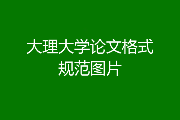 大理大学论文格式规范图片