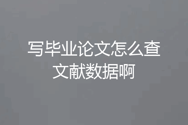 写毕业论文怎么查文献数据啊