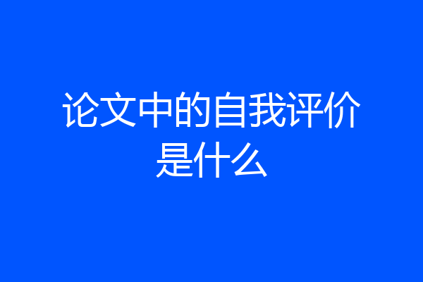 论文中的自我评价是什么