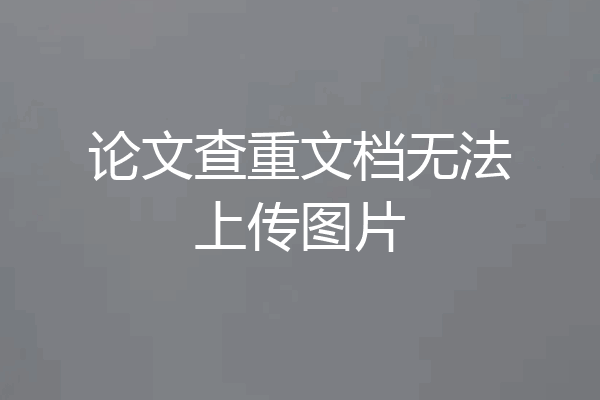 论文查重文档无法上传图片