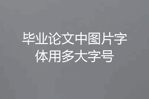 毕业论文中图片字体用多大字号
