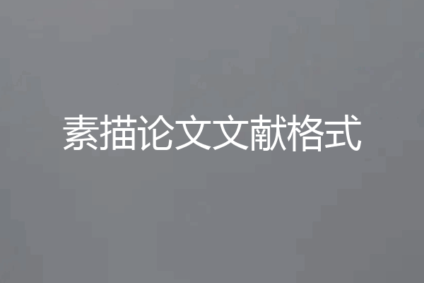 素描论文文献格式