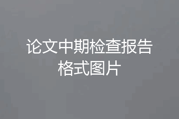 论文中期检查报告格式图片
