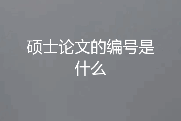 硕士论文的编号是什么