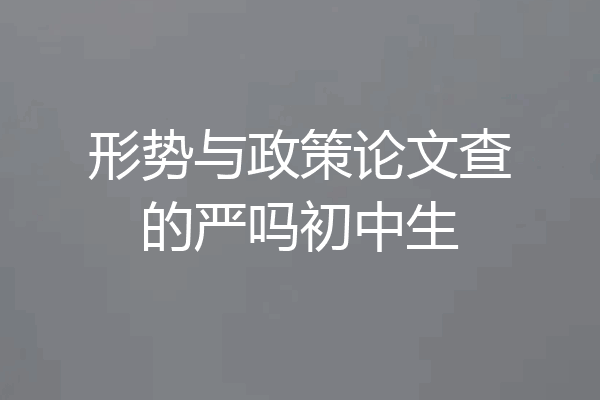 形势与政策论文查的严吗初中生