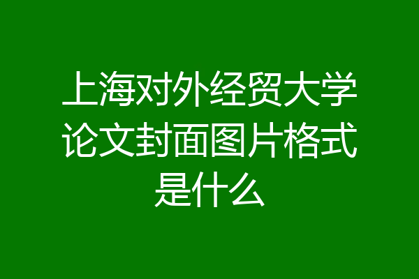 上海对外经贸大学论文封面图片格式是什么