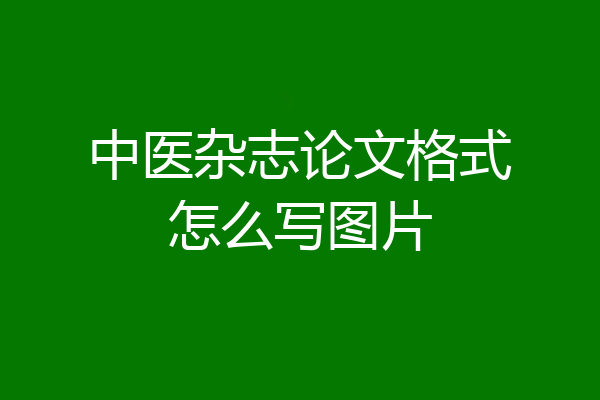 中医杂志论文格式怎么写图片