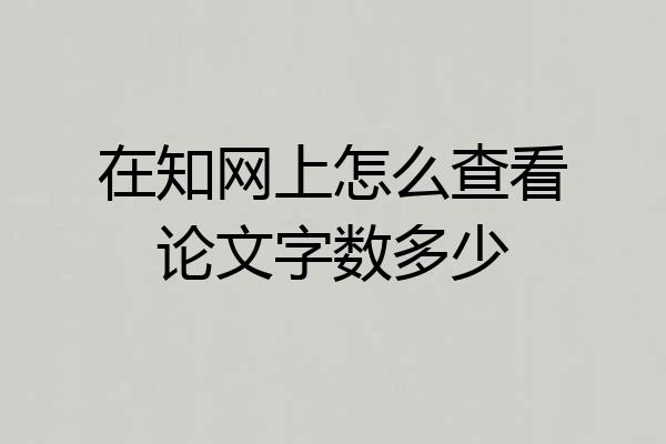 在知网上怎么查看论文字数多少