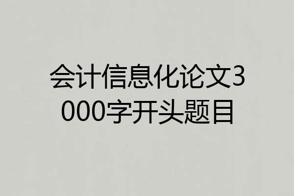 会计信息化论文3000字开头题目