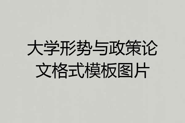 大学形势与政策论文格式模板图片