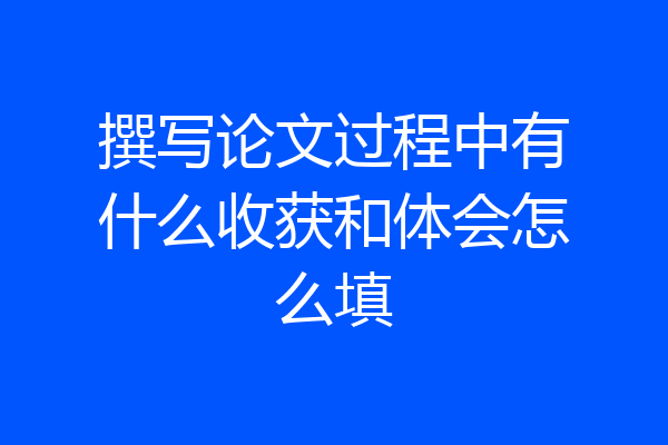 撰写论文过程中有什么收获和体会怎么填