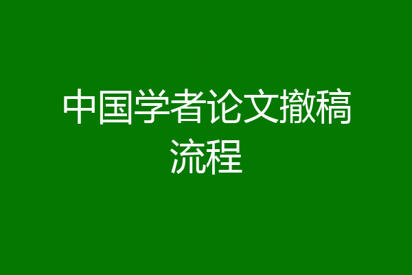 中国学者论文撤稿流程