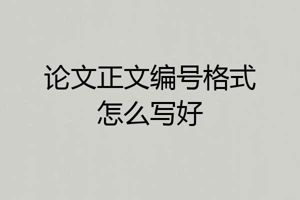 论文正文编号格式怎么写好