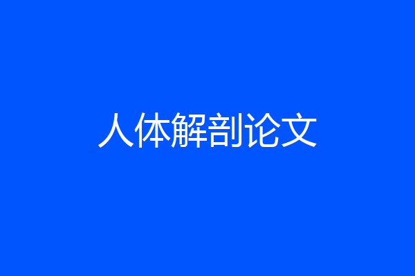 人体解剖论文