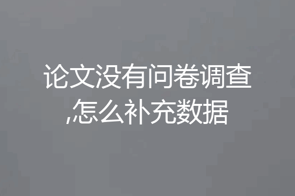 论文没有问卷调查,怎么补充数据