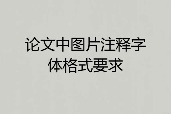 论文中图片注释字体格式要求