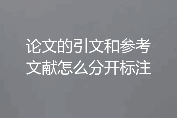 论文的引文和参考文献怎么分开标注