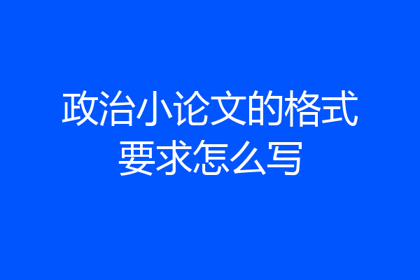 政治小论文的格式要求怎么写