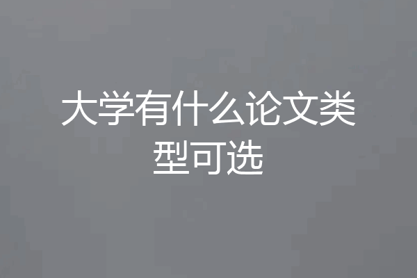 大学有什么论文类型可选
