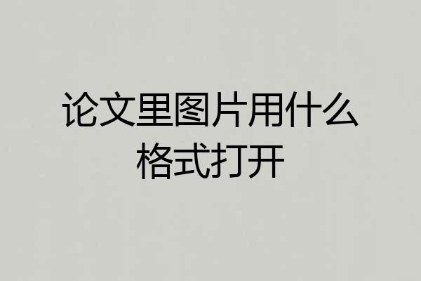 论文里图片用什么格式打开