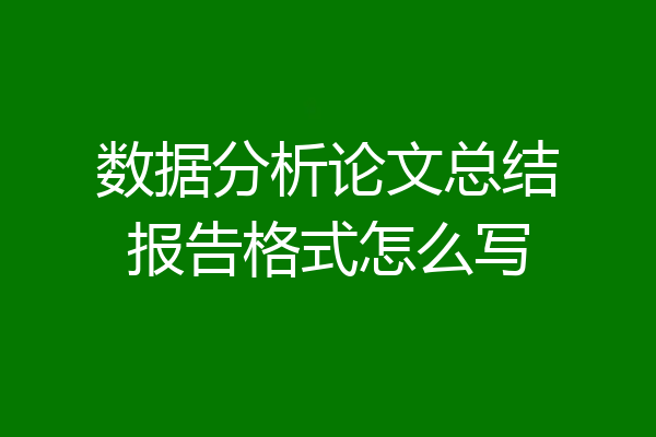 数据分析论文总结报告格式怎么写