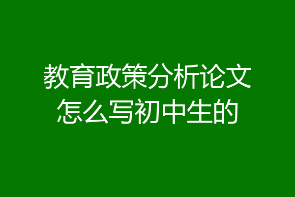 教育政策分析论文怎么写初中生的