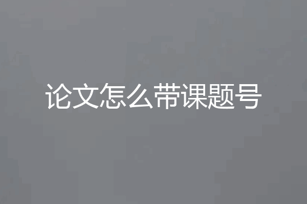 论文怎么带课题号