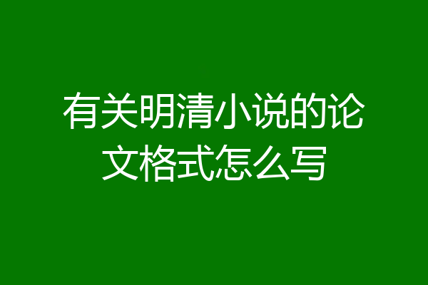 有关明清小说的论文格式怎么写