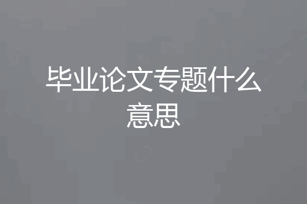 毕业论文专题什么意思