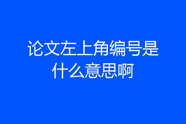 论文左上角编号是什么意思啊