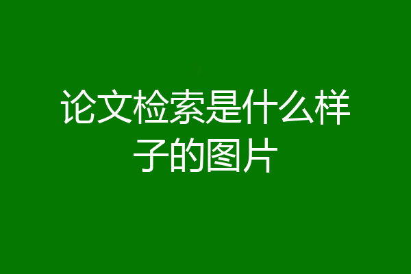 论文检索是什么样子的图片