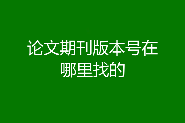 论文期刊版本号在哪里找的