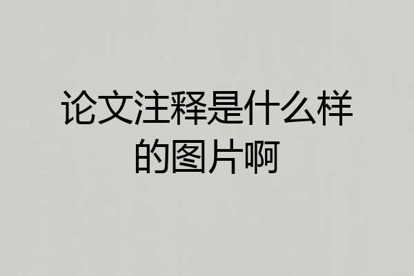 论文注释是什么样的图片啊