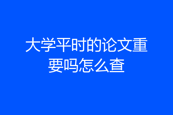 大学平时的论文重要吗怎么查