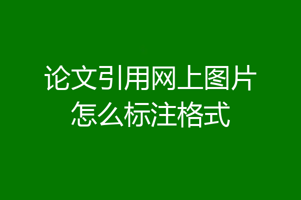 论文引用网上图片怎么标注格式