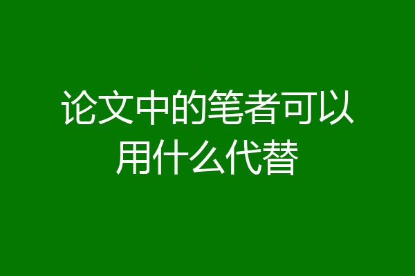 论文中的笔者可以用什么代替