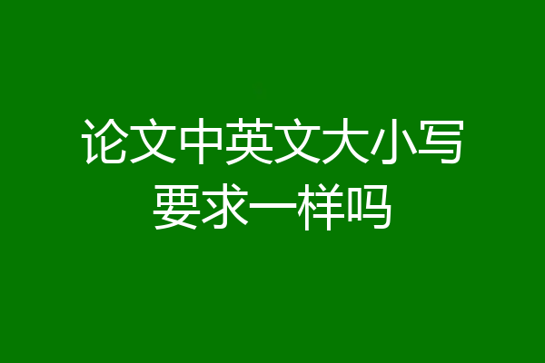 论文中英文大小写要求一样吗