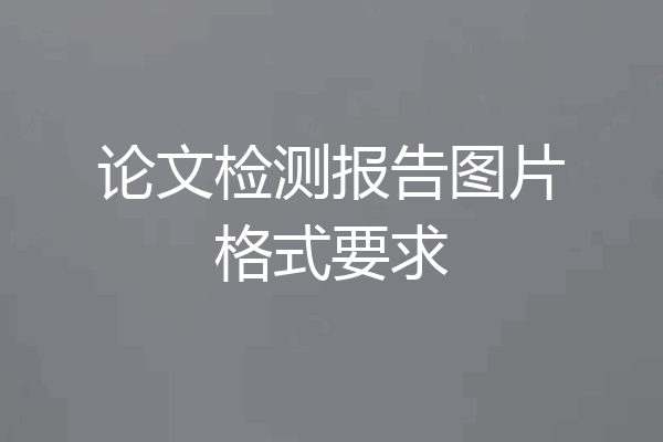 论文检测报告图片格式要求
