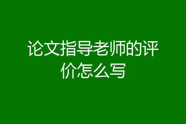 论文指导老师的评价怎么写