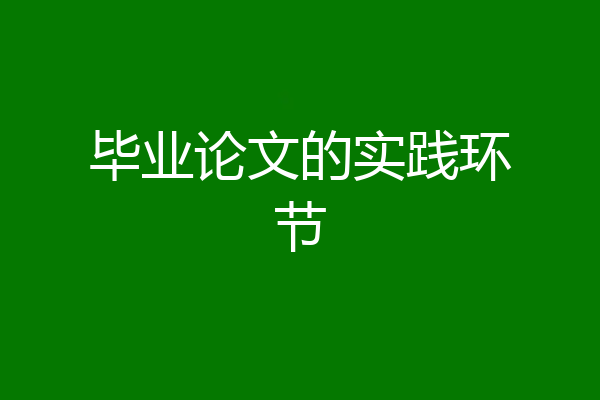 毕业论文的实践环节