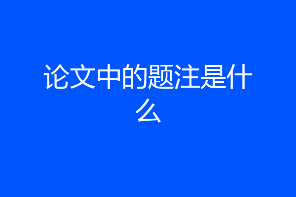 论文中的题注是什么