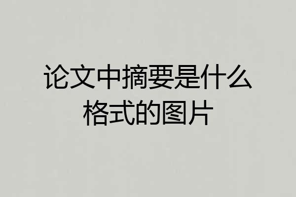 论文中摘要是什么格式的图片