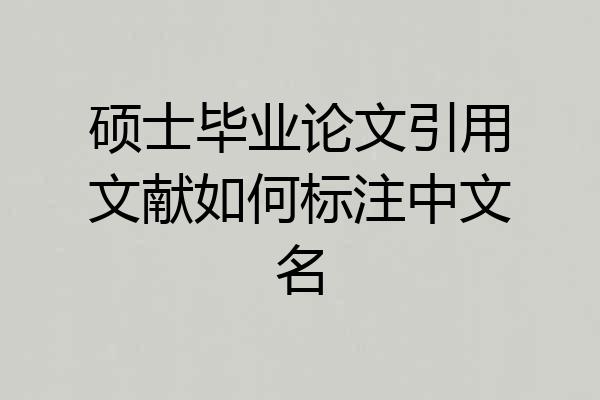 硕士毕业论文引用文献如何标注中文名